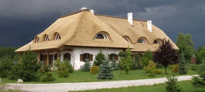 Buet tagform dækket med frisk strå