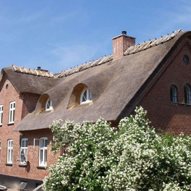 ein schönes und langlebiges Reetdach
