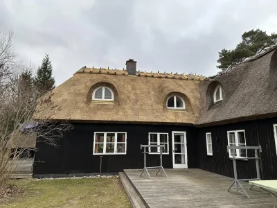 Taglægning med håndsorterede bundter